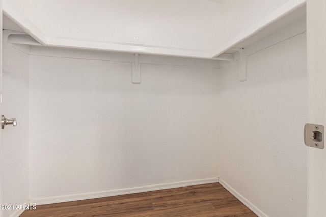 walk in closet featuring dark wood-type flooring