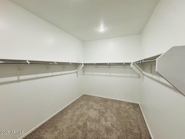 47267 W Mellen Ln, Maricopa, AZ 85139 - walk in closet with carpet flooring