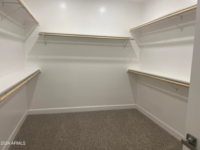 walk in closet with carpet flooring