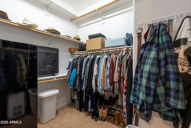 walk in closet with carpet floors