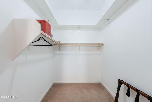 spacious closet with light colored carpet