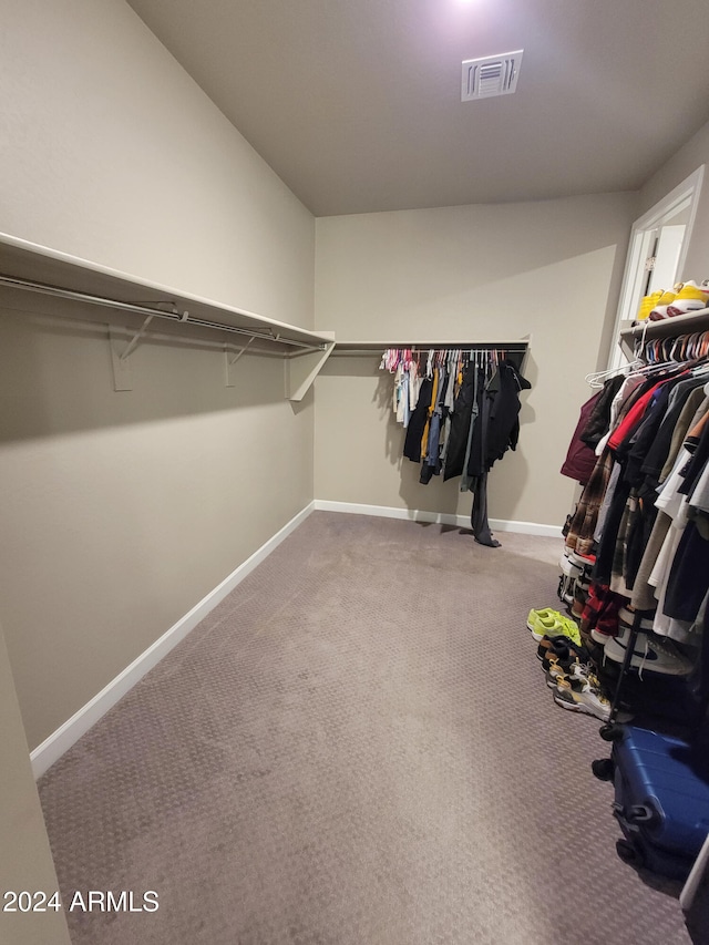 spacious closet with carpet floors