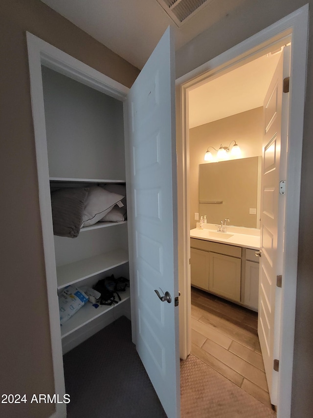 closet featuring sink