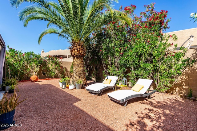 10863 N 117th Pl, Scottsdale, AZ 85259 - fenced backyard with a patio area