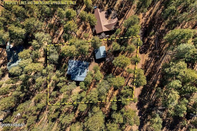 birds eye view of property featuring a forest view