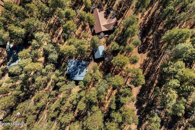 bird's eye view with a forest view