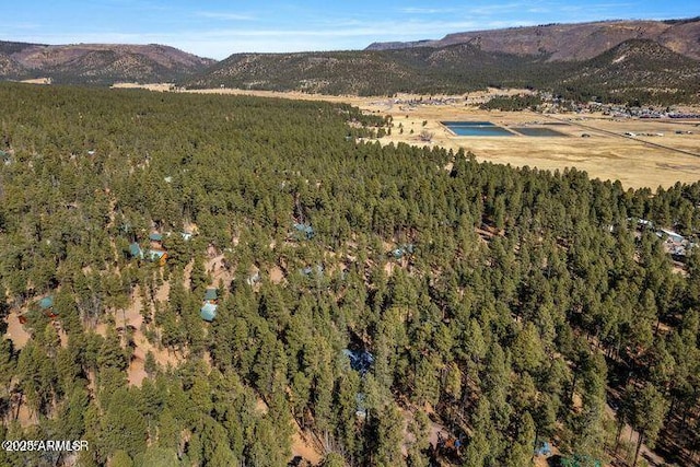 birds eye view of property with a mountain view and a wooded view