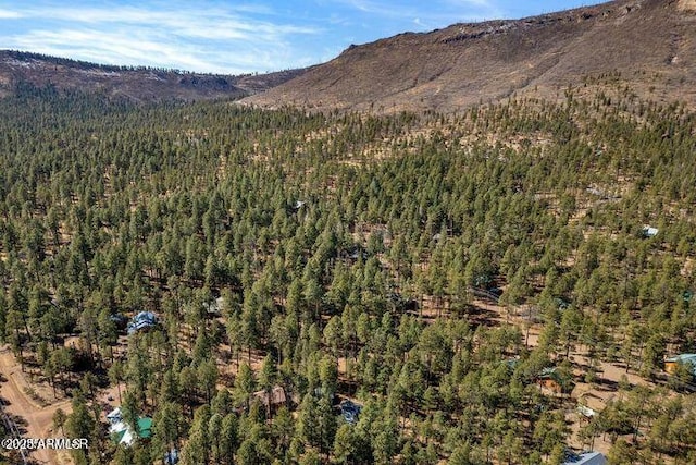 property view of mountains with a wooded view