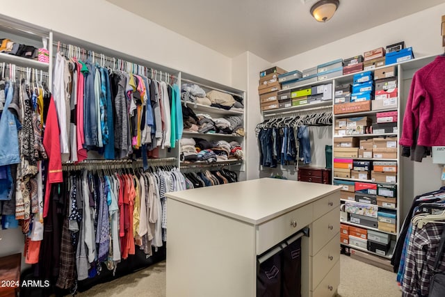 spacious closet with light carpet