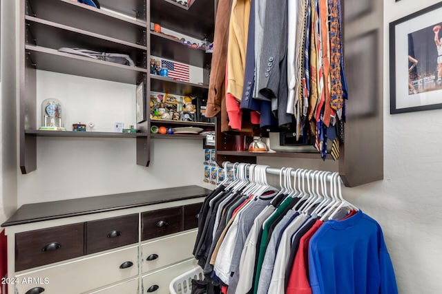 view of spacious closet