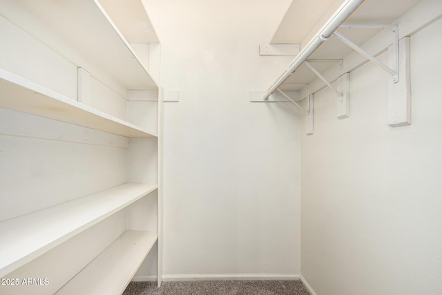 spacious closet featuring carpet floors