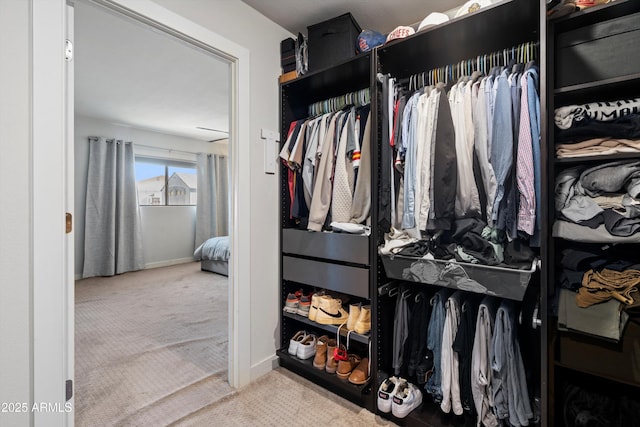 spacious closet with carpet floors