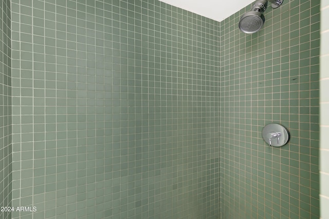 details featuring tiled shower