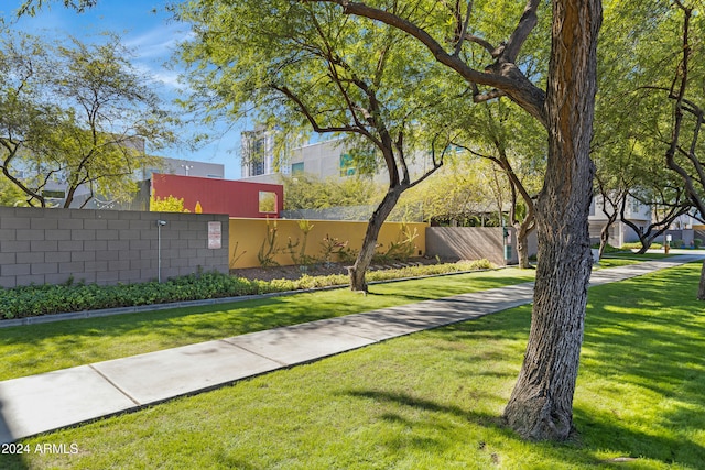 view of community with a lawn