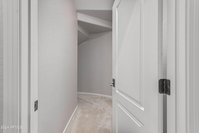 spacious closet with light carpet