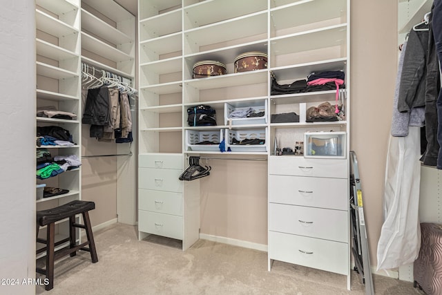 spacious closet with light carpet