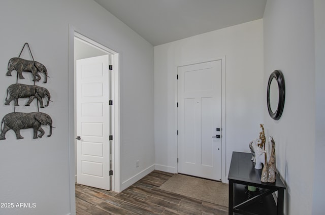 foyer featuring dark wood-type flooring