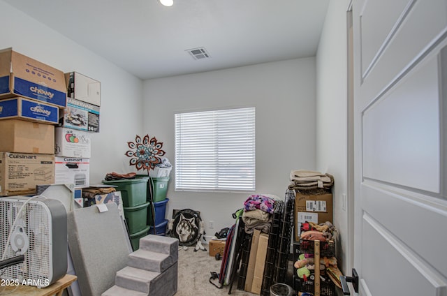 interior space with carpet