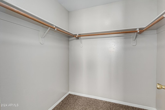 spacious closet featuring carpet flooring