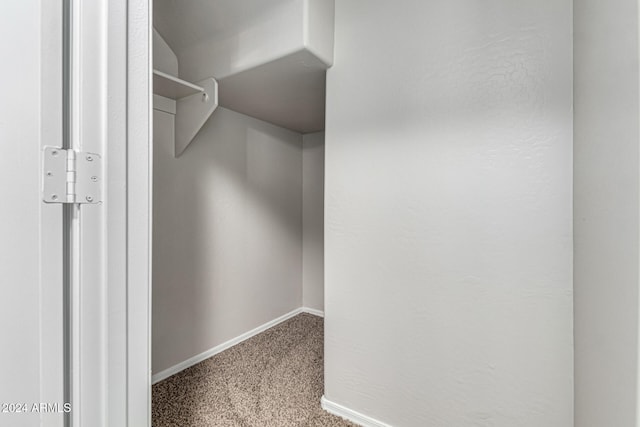 spacious closet with carpet