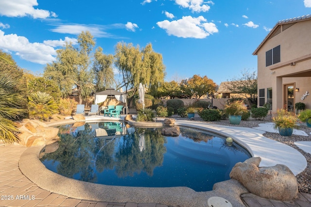 view of pool featuring a patio