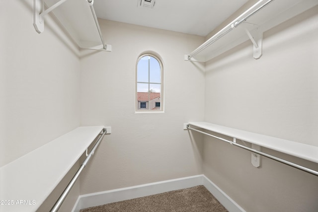 spacious closet featuring carpet and visible vents