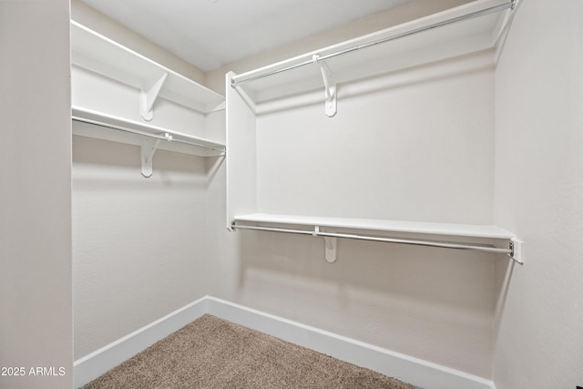 walk in closet featuring carpet