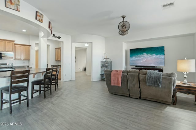 living room featuring hardwood / wood-style floors