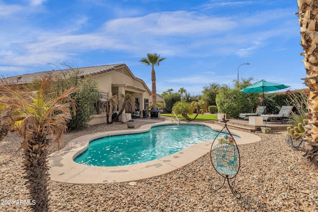 view of pool featuring a patio