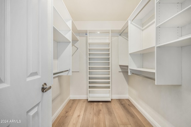 spacious closet featuring light wood-type flooring