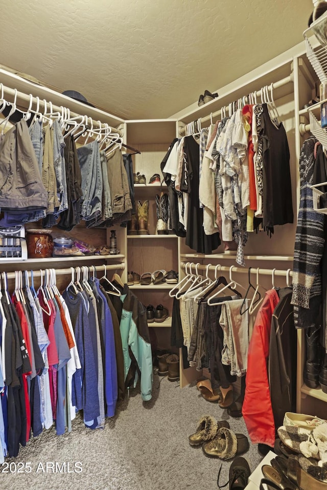 walk in closet with carpet floors