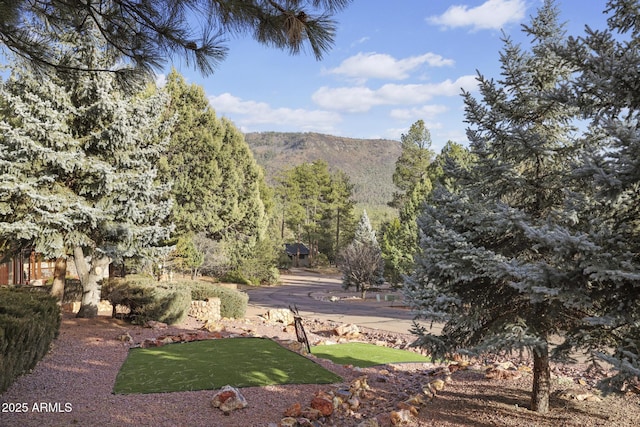 property view of mountains