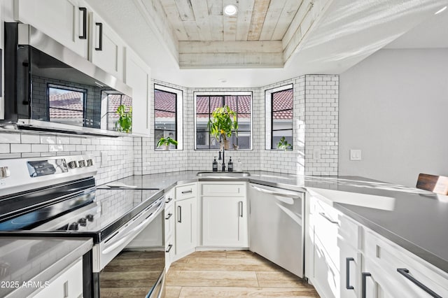 kitchen with backsplash, stainless steel appliances, a raised ceiling, and white cabinets