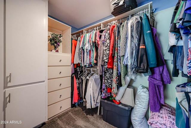 spacious closet with carpet