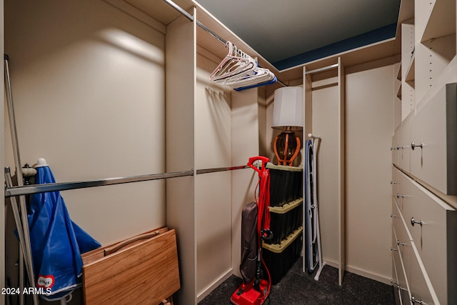 spacious closet featuring dark colored carpet