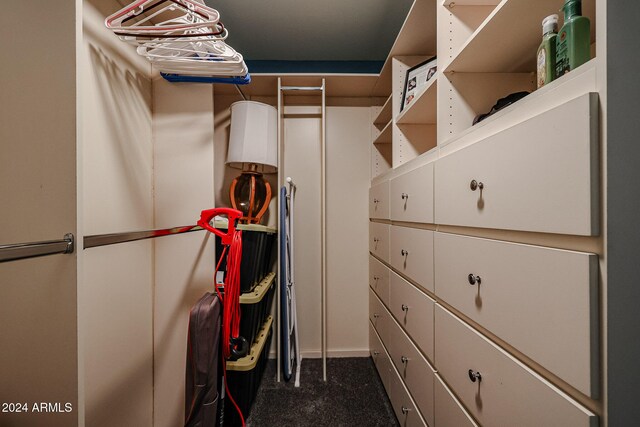 spacious closet with dark colored carpet