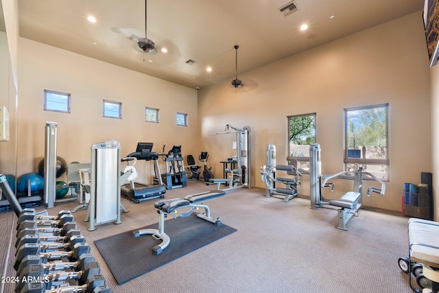 exercise room featuring a high ceiling and ceiling fan