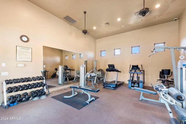 exercise room with a high ceiling