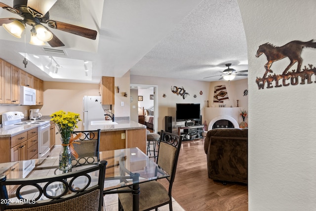 dining space with light wood-type flooring, a textured ceiling, and ceiling fan