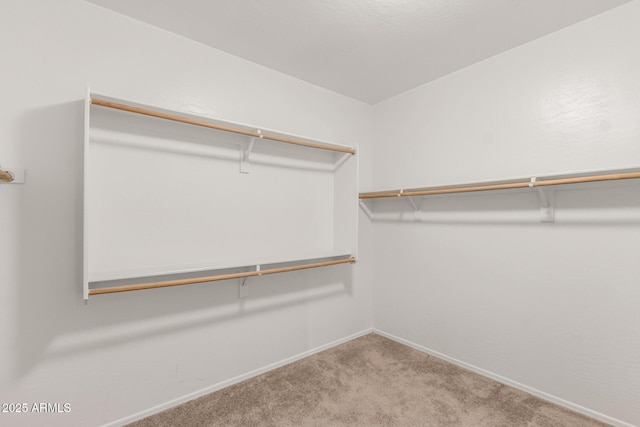 spacious closet featuring carpet