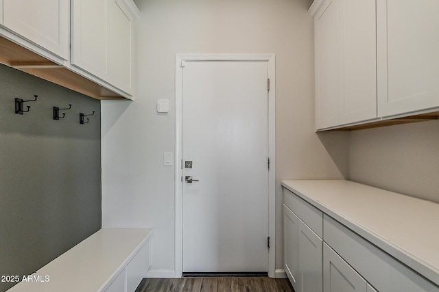 mudroom with dark wood-type flooring
