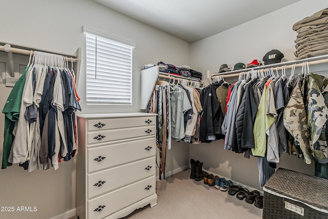 spacious closet featuring carpet flooring