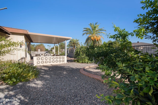 view of yard featuring a patio