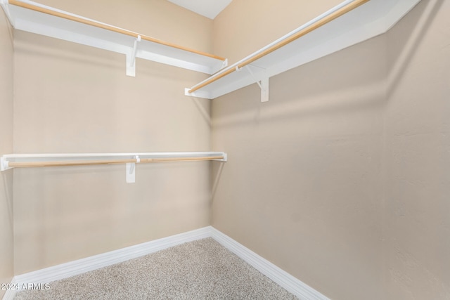 spacious closet with carpet