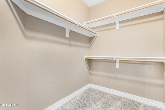 spacious closet with carpet