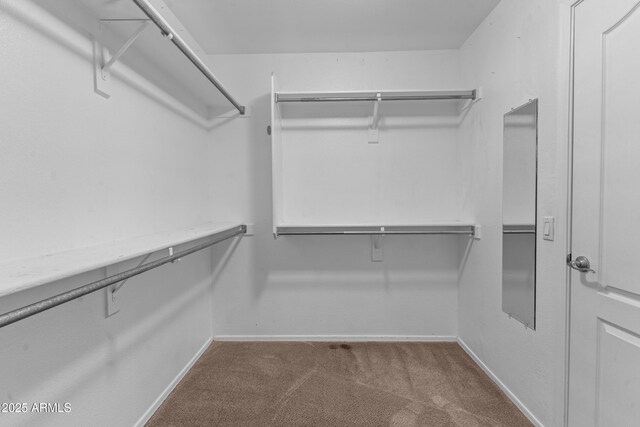 1162 E Ranch Ct, Gilbert, AZ 85296 - spacious closet with carpet flooring