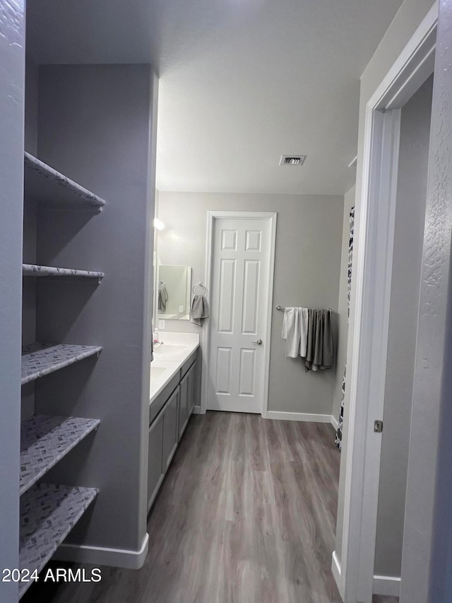 bathroom featuring vanity and wood-type flooring