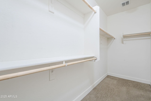 walk in closet featuring light colored carpet
