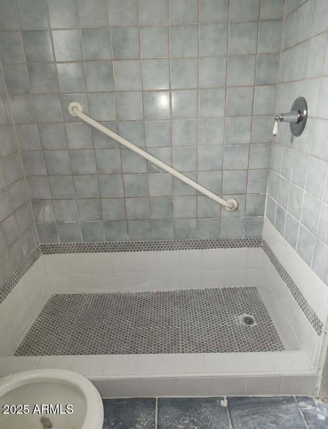755 E Millett Ave, Mesa, AZ 85204 - full bath with a tile shower and toilet