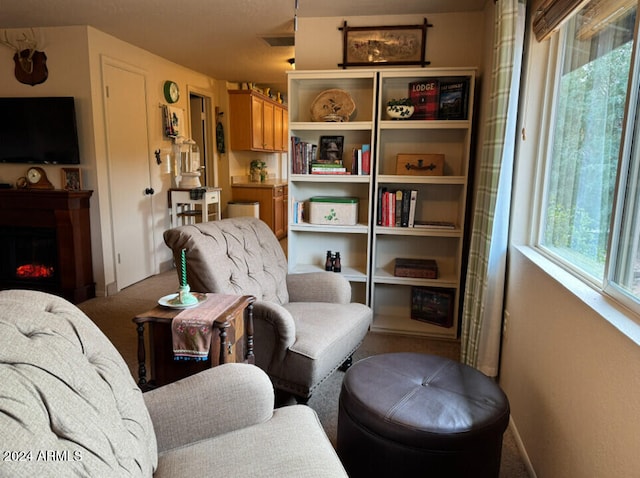 living area featuring a fireplace and carpet floors